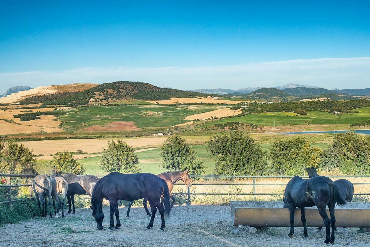 Alterhome Private Villa Cortijo Sierra Y Lago أركوس ديلا فرونتيرا المظهر الخارجي الصورة
