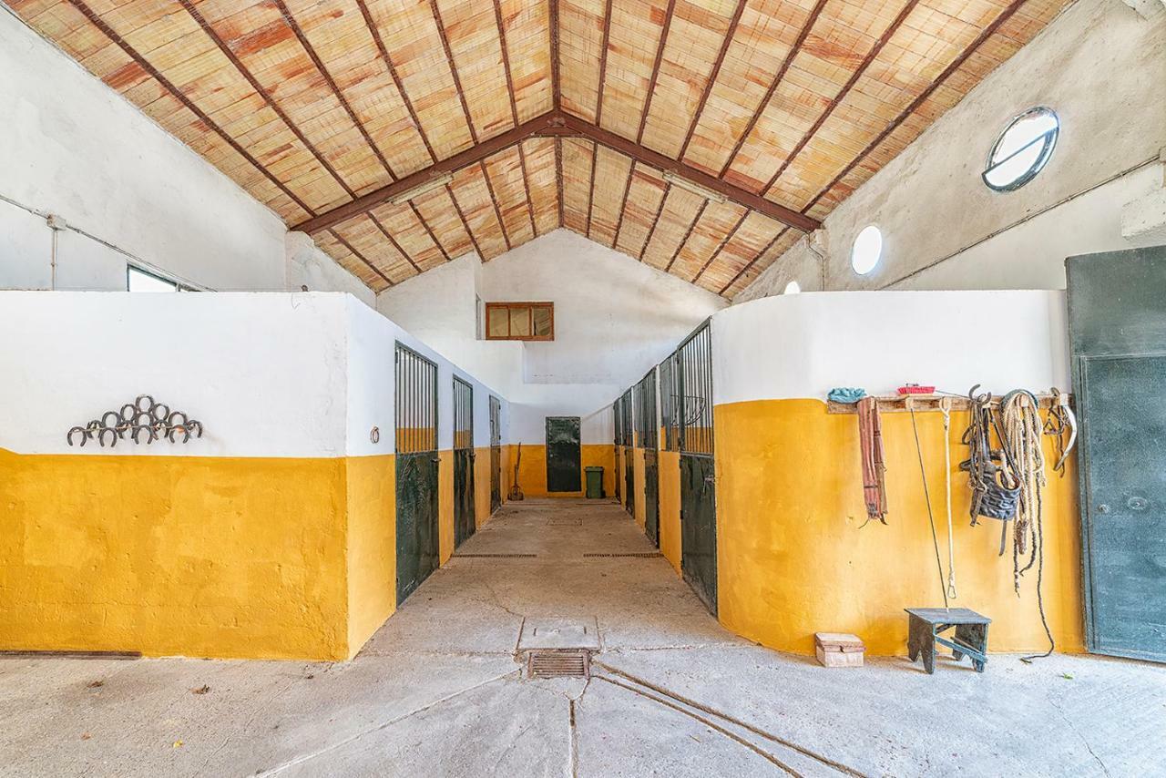 Alterhome Private Villa Cortijo Sierra Y Lago أركوس ديلا فرونتيرا المظهر الخارجي الصورة