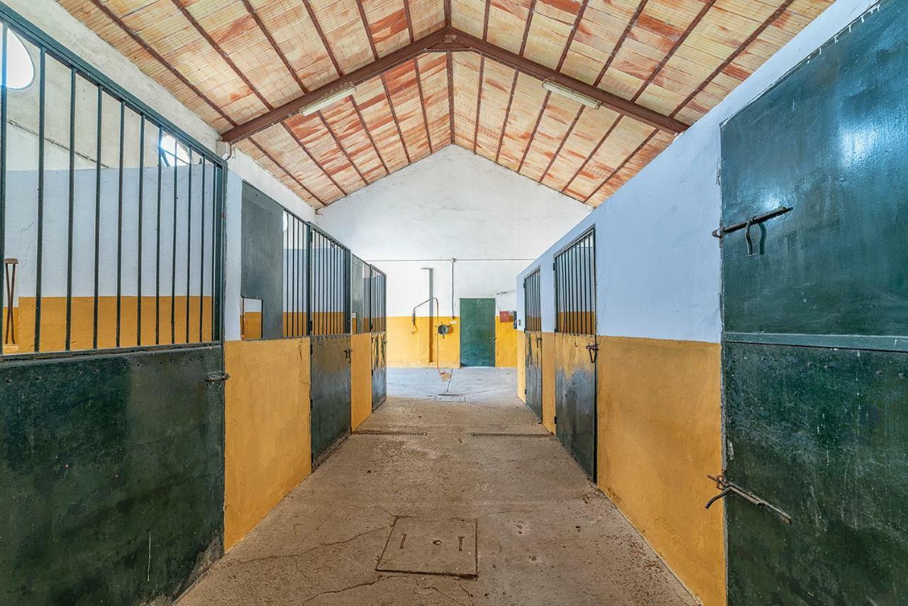 Alterhome Private Villa Cortijo Sierra Y Lago أركوس ديلا فرونتيرا المظهر الخارجي الصورة