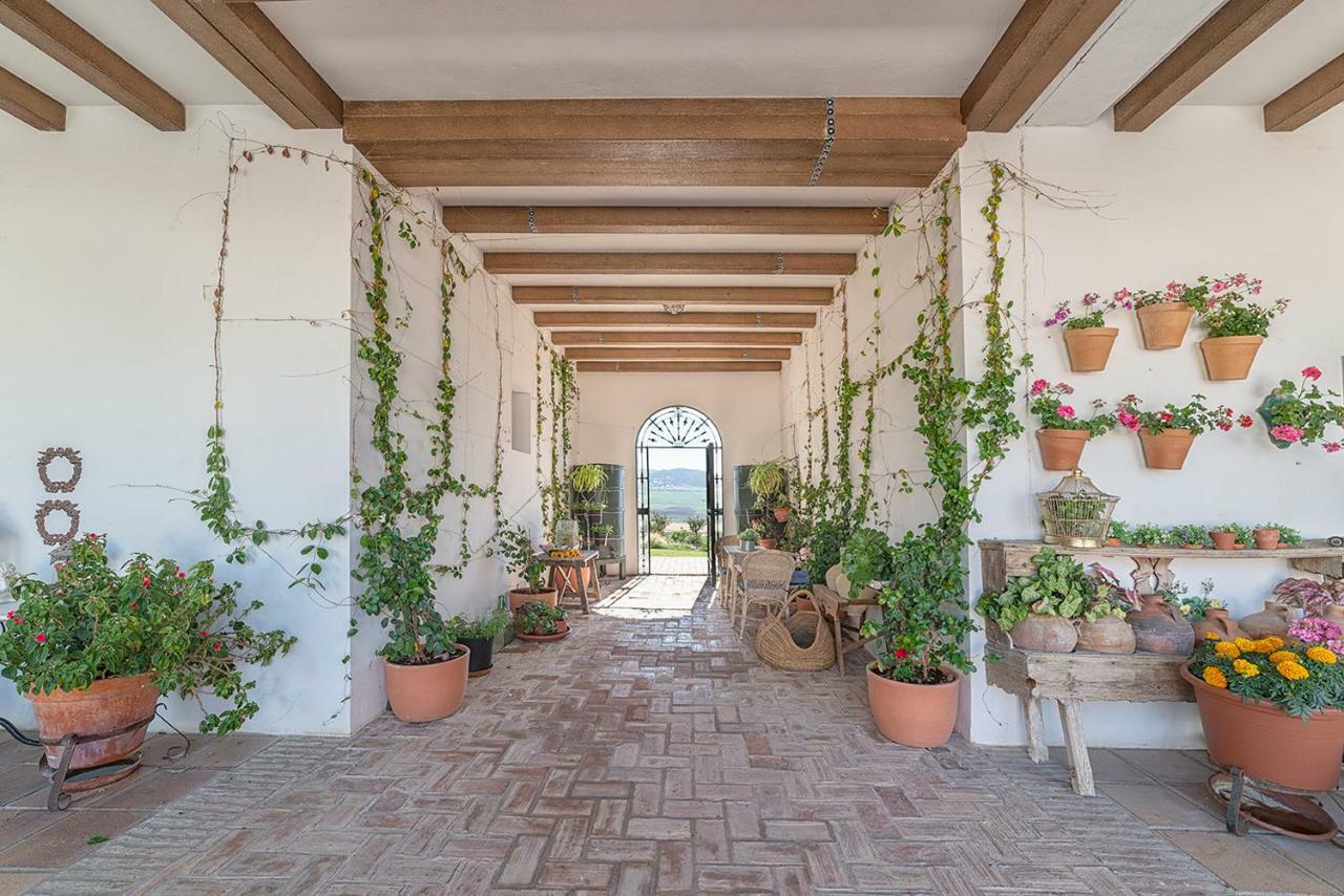 Alterhome Private Villa Cortijo Sierra Y Lago أركوس ديلا فرونتيرا المظهر الخارجي الصورة